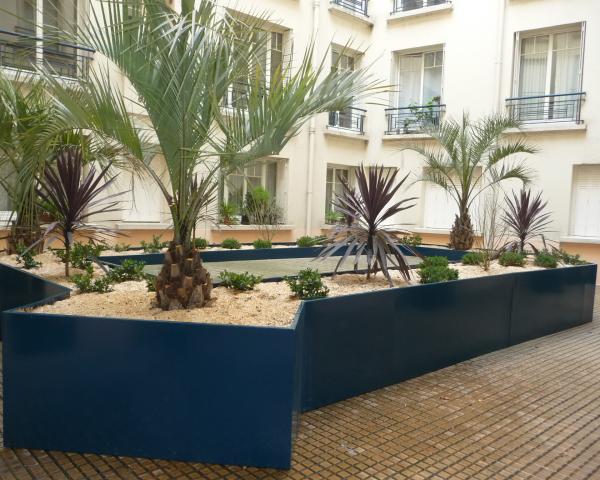Palmiers jardiniere au sol